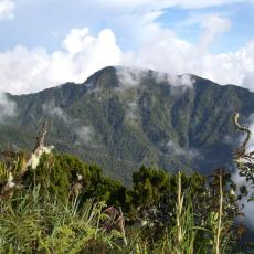 Mt. Dulang-Dulang