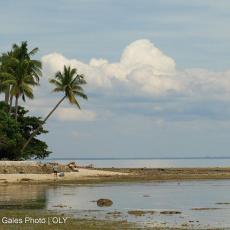 Island Garden City of Samal