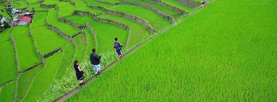 Batad Rice Terraces
