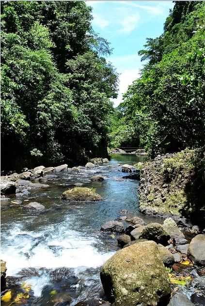 Get Ready to Experience the Adventures in Panguil River Ecopark