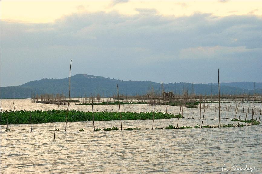 Laguna de Bay: A Multi-purpose Bay