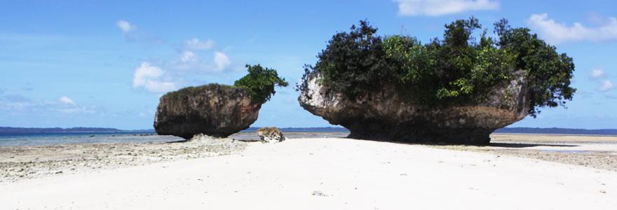 Polillo Island: A Mother Nature
