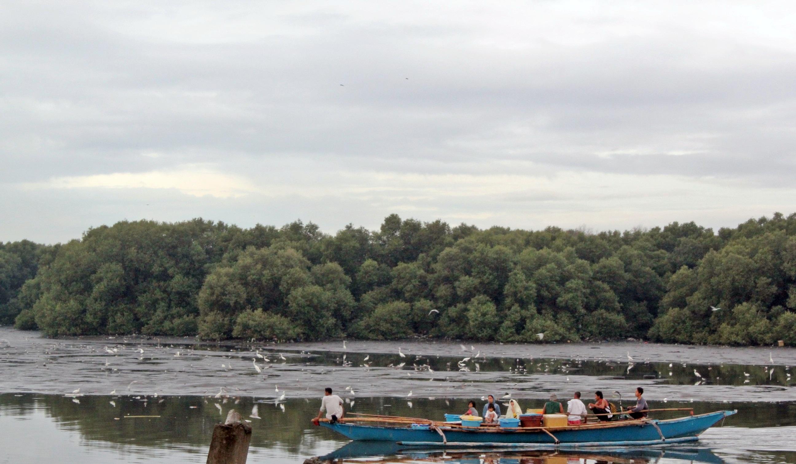 Las Piñas-Parañaque Critical Habitat and Eco-tourism Area