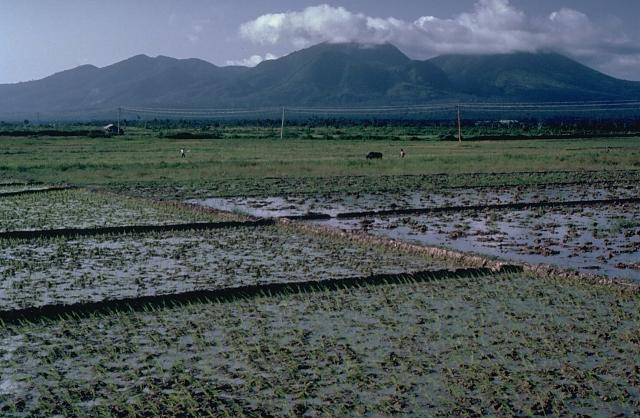 The Pocdol Mountains (Bacon-Manito Volcanic Group)