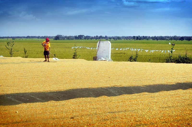 Isabela Province : The Rice and Corn Granary of Luzon