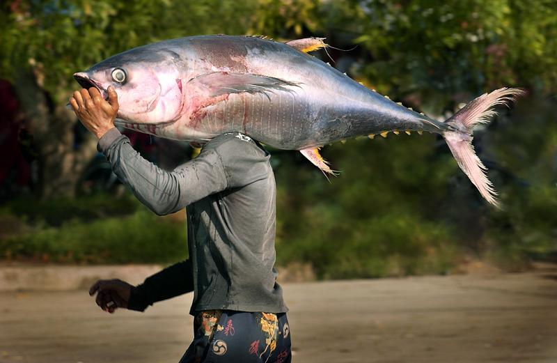 General Santos City: The Tuna Capital of the Philippines