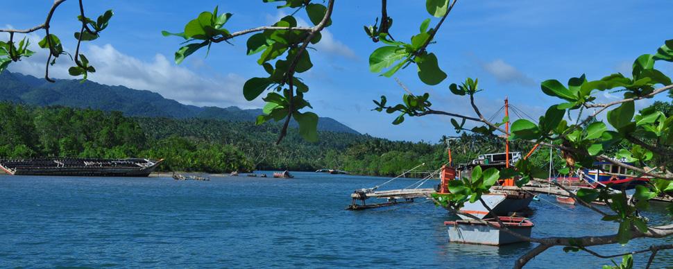 Whale Shark Watching at Pandan Coast (Antique)