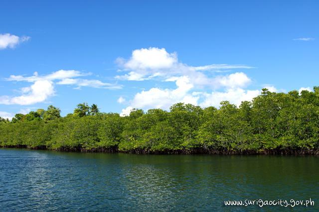 The Fascinating Ecological Sites of Surigao