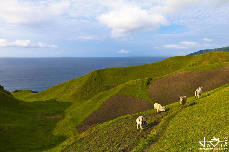 Vayang Rolling Hills