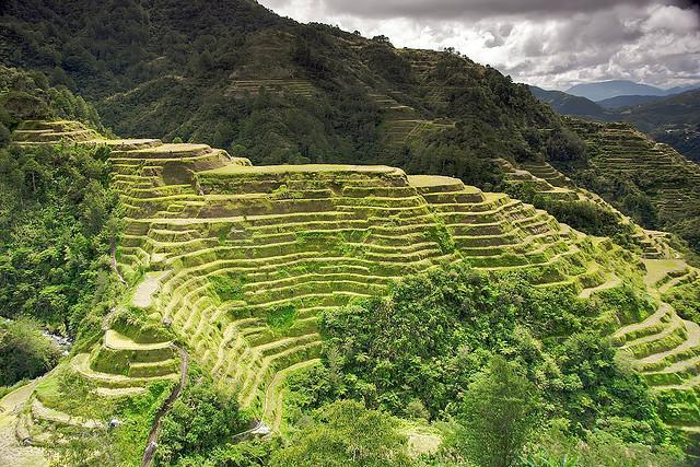 Five Reasons Why You Should Visit Banaue Rice Terraces