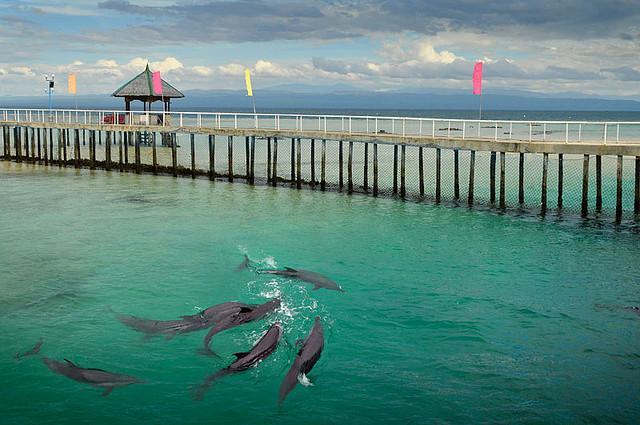 Aquamarine Park at Misamis Occidental