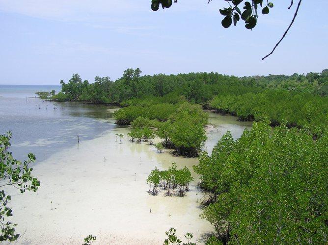 The Many Reasons to Visit Tulapos Marine Sanctuary in Siquijor
