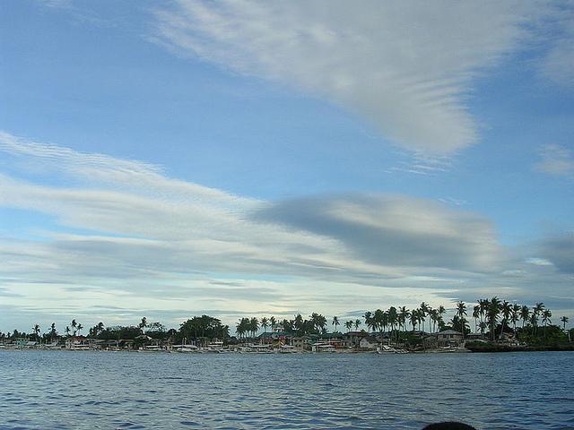 Haven of Birds at Olango Island