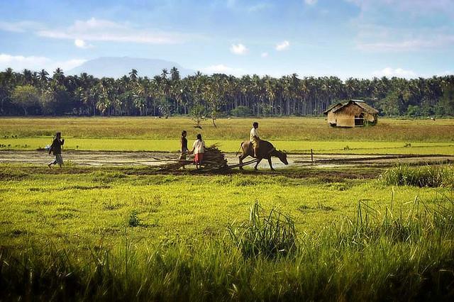 Maguindanao: An Image of Hope