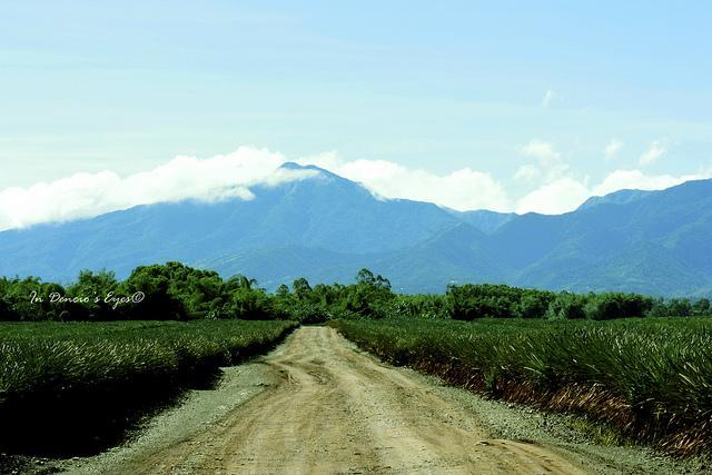 The Farms, Plantations and Agro-Tourism Sites of Bukidnon