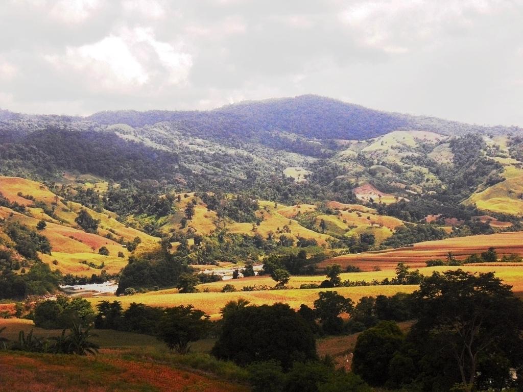 Quirino: The Forest Heartland Of Cagayan Valley