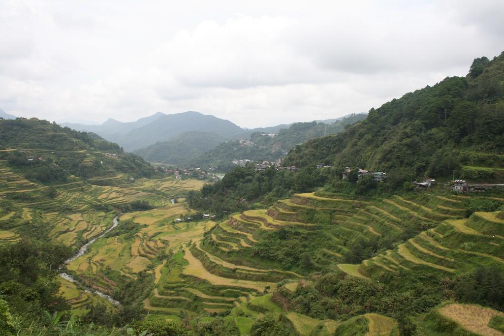 Banaue Rice Terraces: A Marvelous Showcase of History and Culture