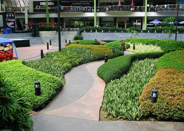 Cebu Business Park and Ayala Center Cebu