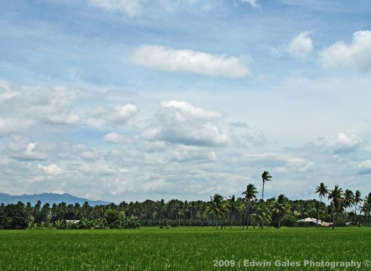 The Majestic Land of Davao Del Sur