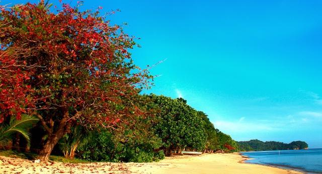 The Unspoiled Beauty of Mamangal Beach 