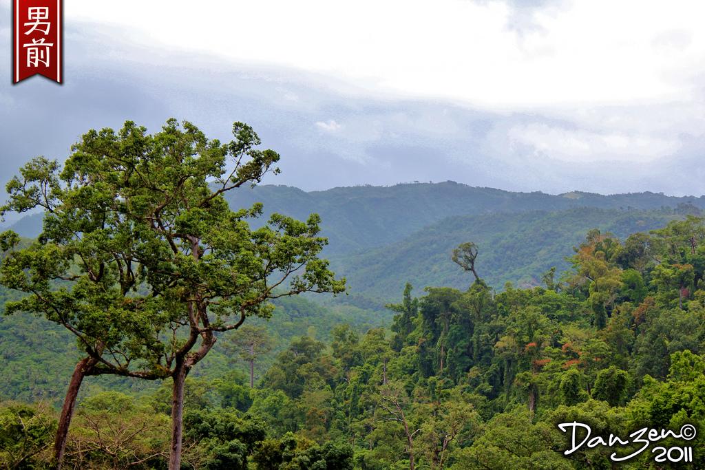 Quezon National Forest Park