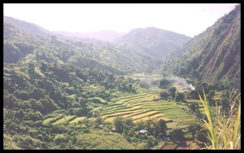 Bolikewkew Rice Terraces 