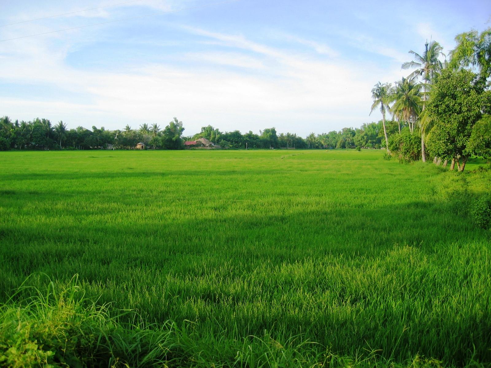 The Versatile Coastal Town of Banate, Iloilo