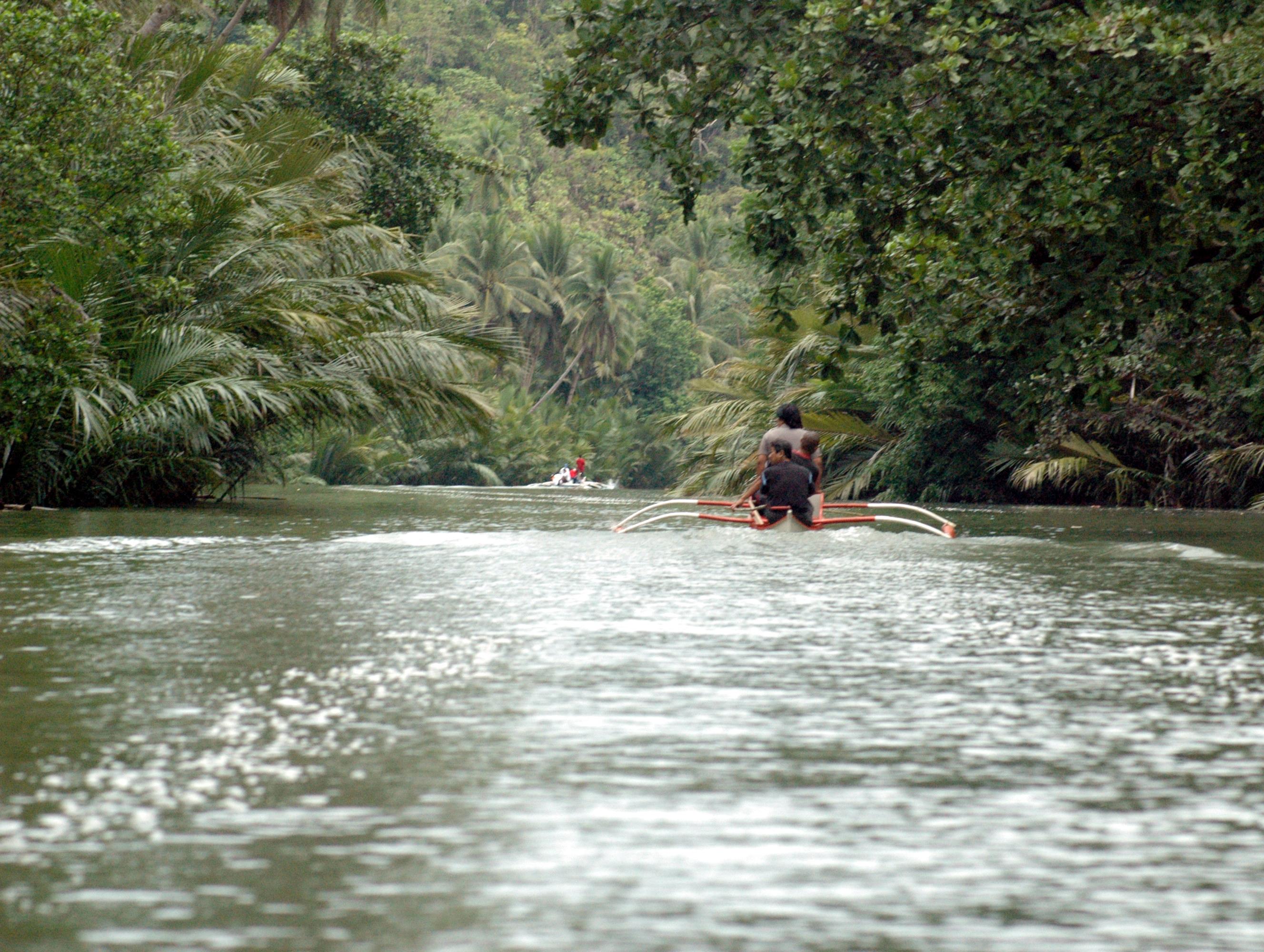 Journeying Through Abatan River in Bohol