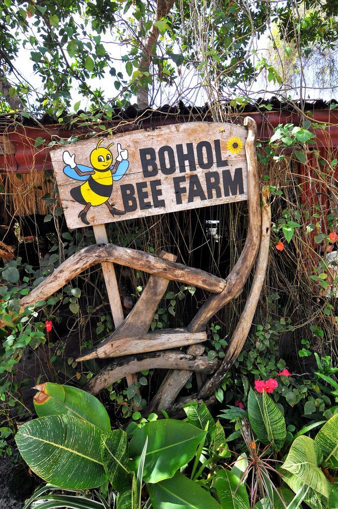 The Success of Bohol Bee Farm