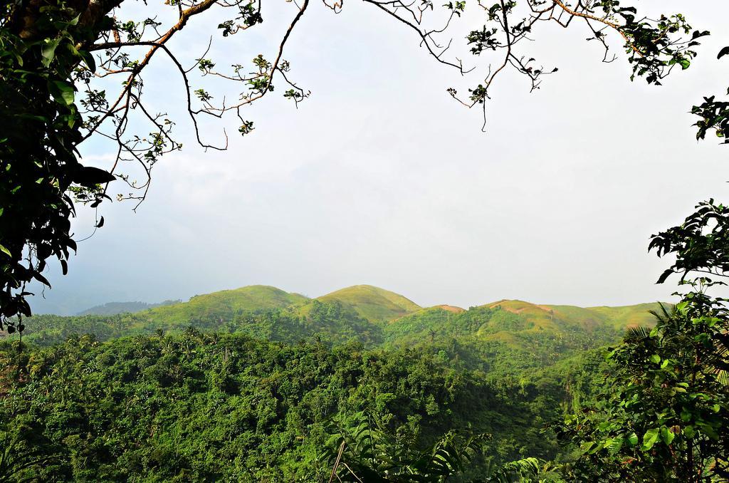 Mount Romelo in Siniloan, Laguna