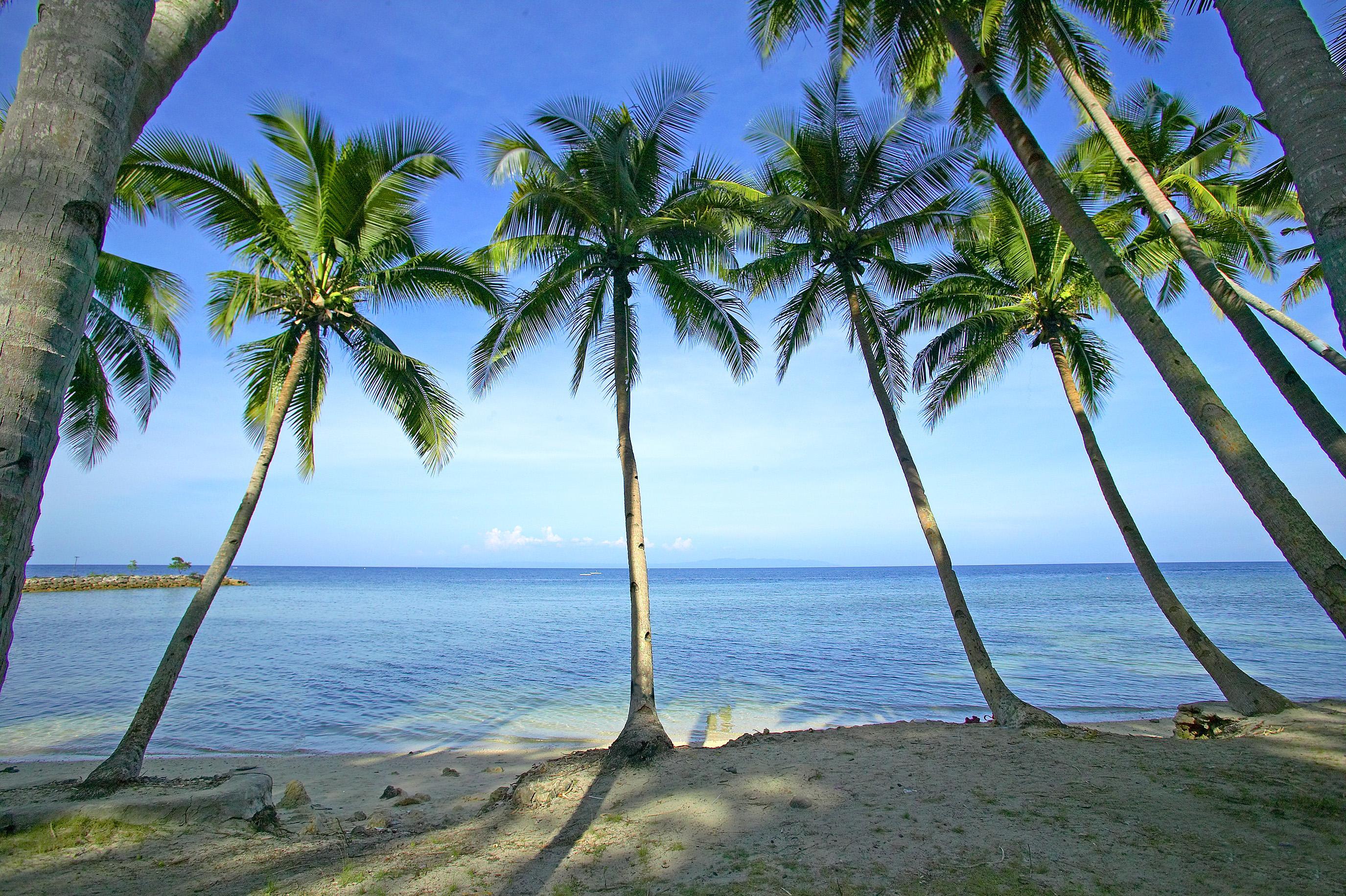 Argao Beach Club