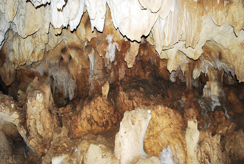 Pinamungajan Caves
