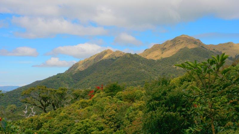 Mt. Pulag National Park - The Next Mountaineering Destination