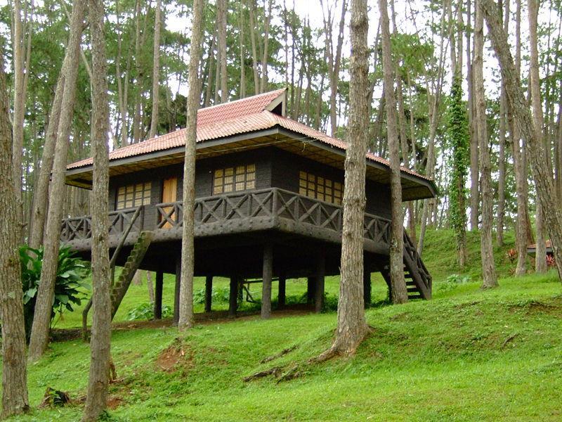 Kaamulan Park: The Eco Tourism Site of Bukidnon