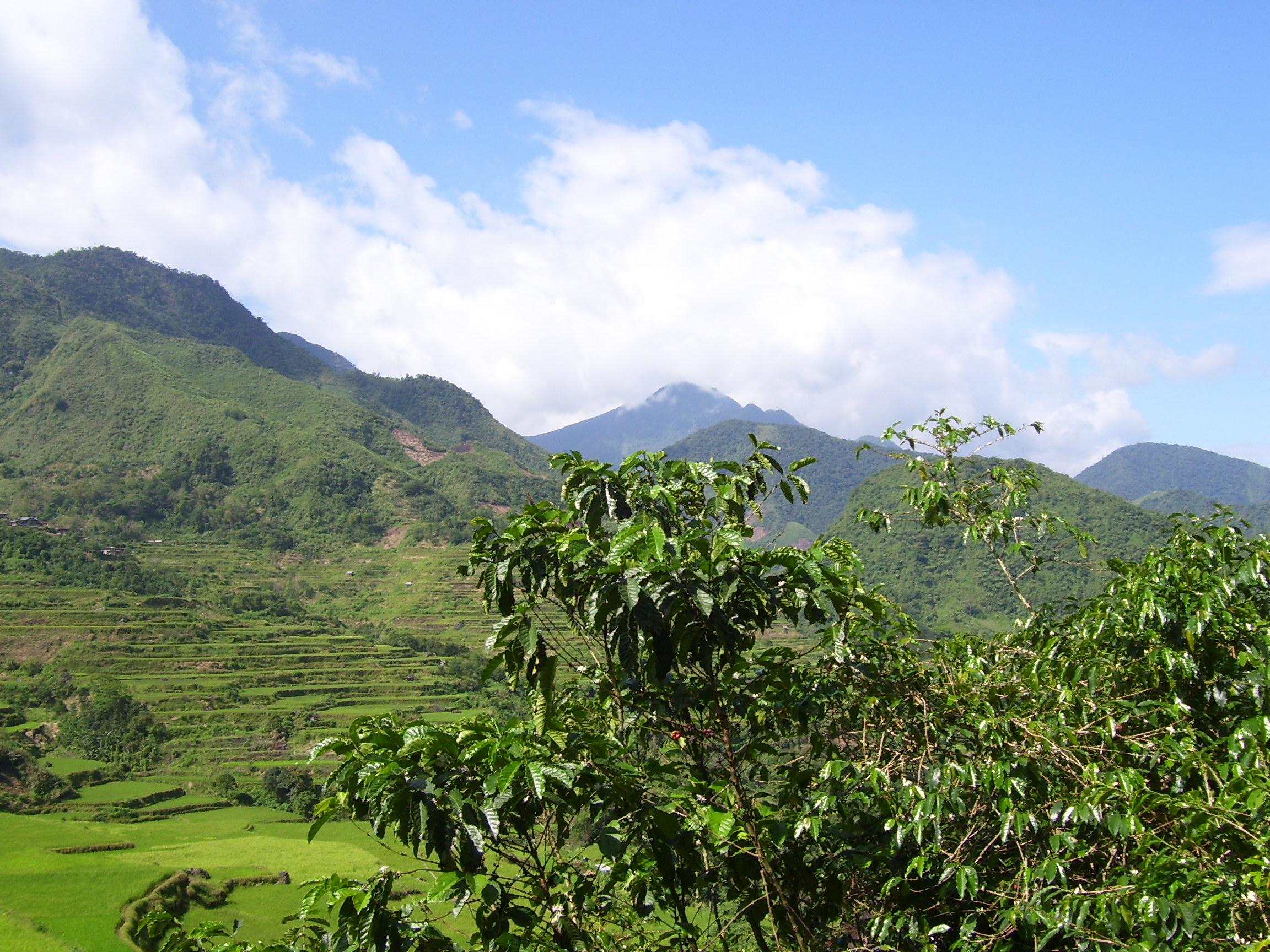 Mount Binuluan