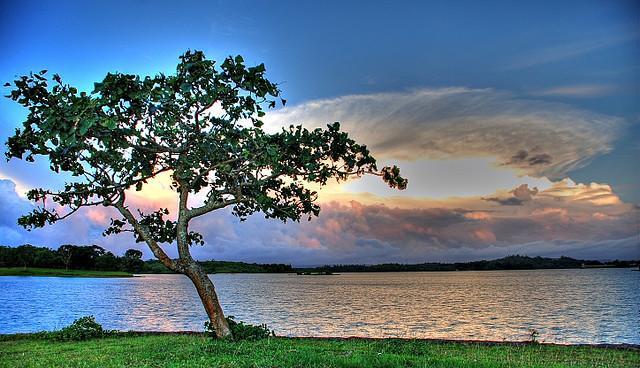 Lake Caliraya: Bass Fishing Capital of the Philippines