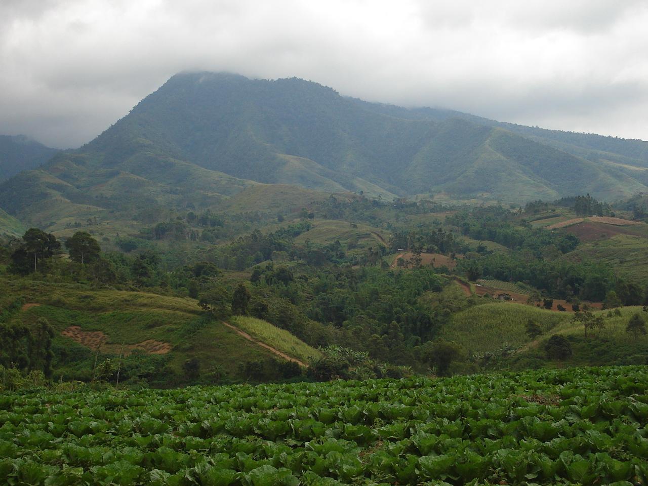 Mount Kitanglad Range Natural Park