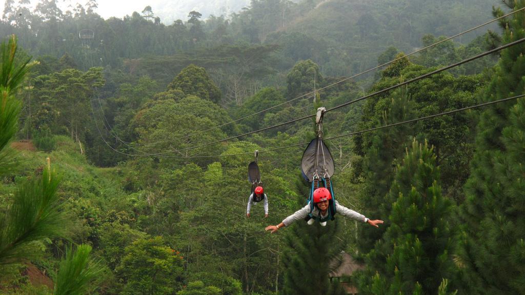 Dahilayan Adventure Park 