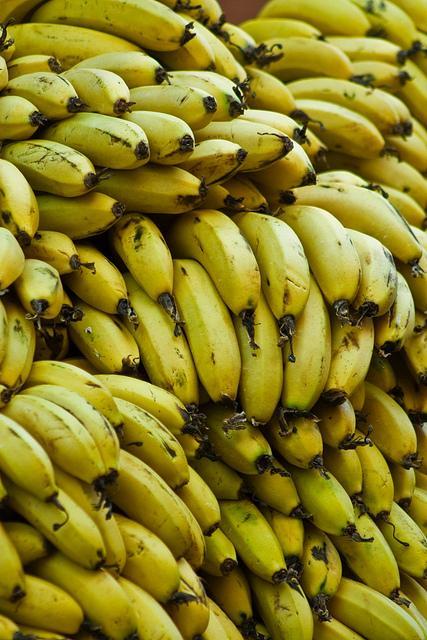 The Sweet and Delicious Banana in Banana Festival