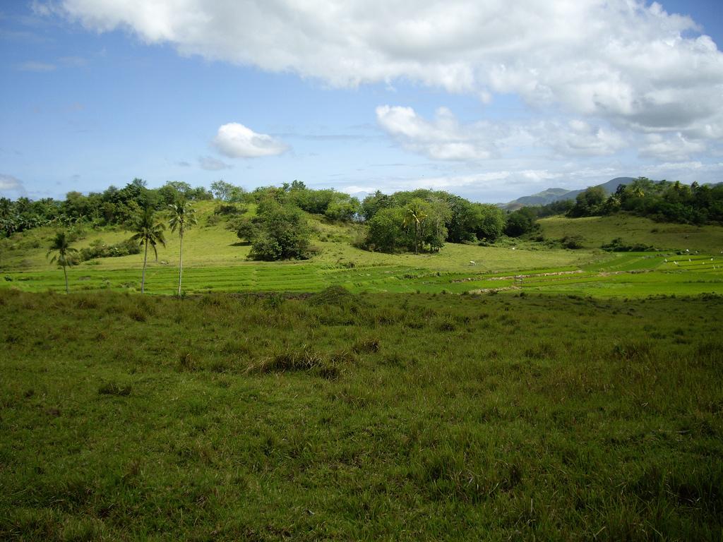 Ubay Agri Park