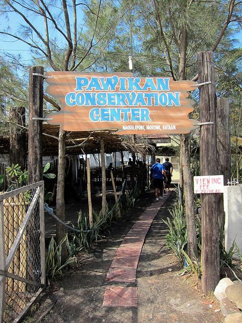 Pawikan Conservation Center in Bataan