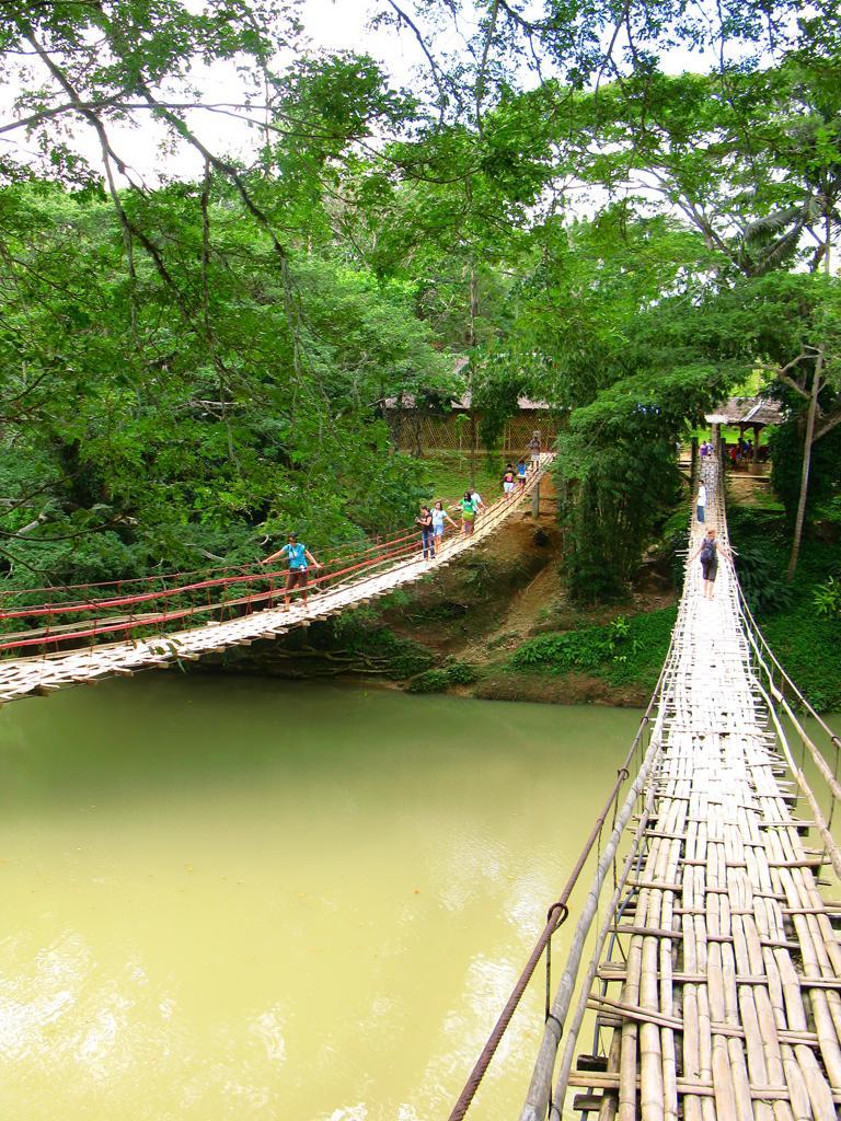 Fun and Adventure at Bamboo Hanging Bridge in Bohol