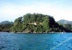 Submarine Garden: One of the Best Aquatic Attractions in Batangas