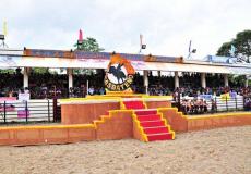 Rodeo Masbateño Festival
