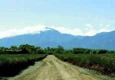 The Farms, Plantations and Agro-Tourism Sites of Bukidnon