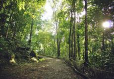  Manduyog Hill and the 14 Stations of the Cross