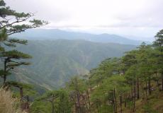 Mount Tapulao: The Tallest Peak of Zambales