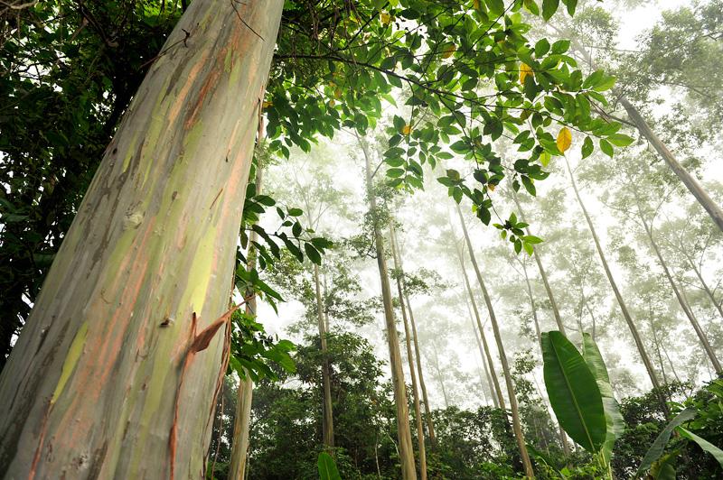 Agusan Del Sur Haven Of Natural Wonders