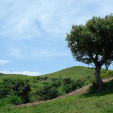 Mt. Gulugod Baboy