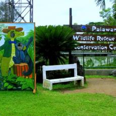 Palawan Wildlife Rescue and Conservation Center (Crocodile Farm)